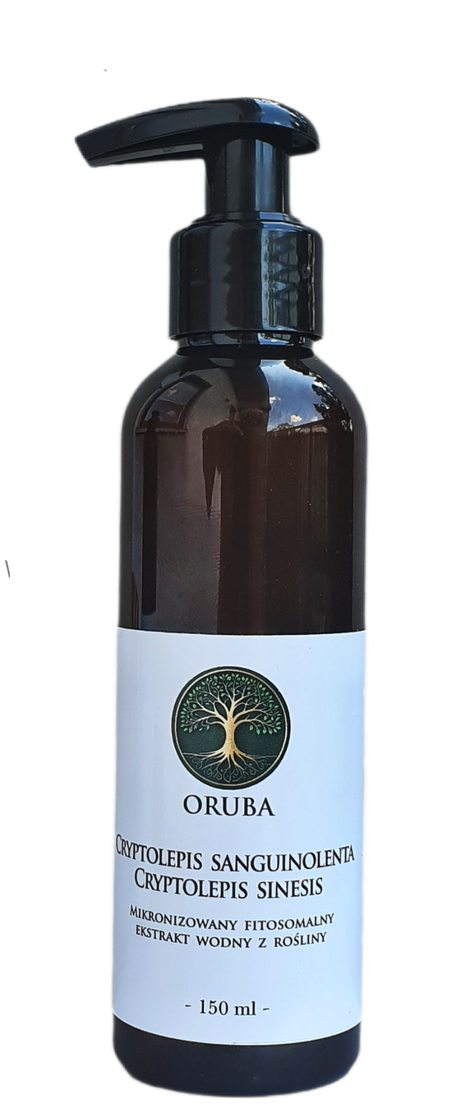 Cryptolepis sanguinolenta i Cryptolepis sinesis