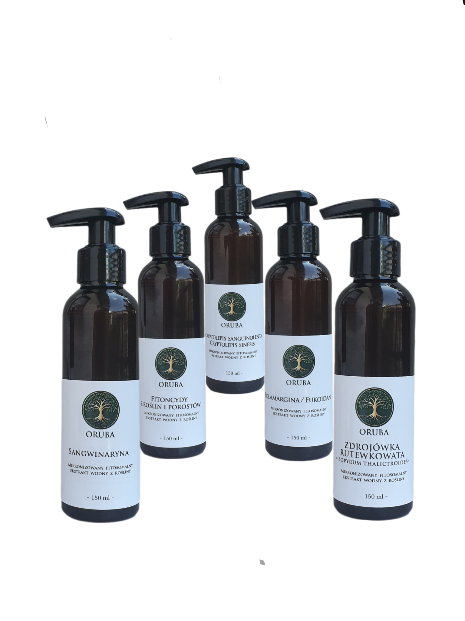 Protokół Fitoncydowy dla osób z boreliozą